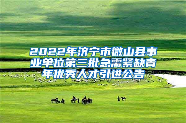 2022年济宁市微山县事业单位第三批急需紧缺青年优秀人才引进公告