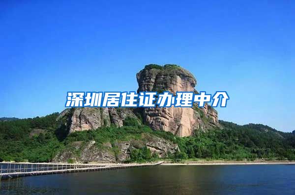 深圳居住证办理中介