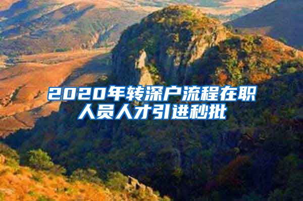 2020年转深户流程在职人员人才引进秒批