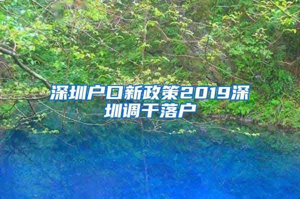 深圳户口新政策2019深圳调干落户