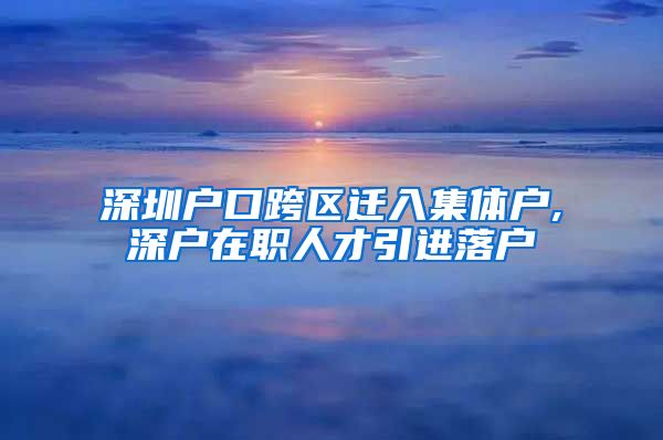 深圳户口跨区迁入集体户,深户在职人才引进落户