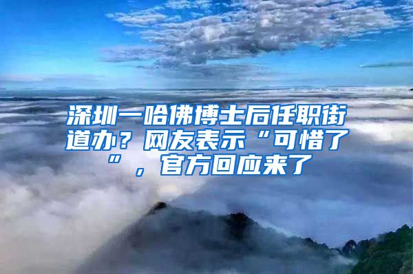 深圳一哈佛博士后任职街道办？网友表示“可惜了”，官方回应来了