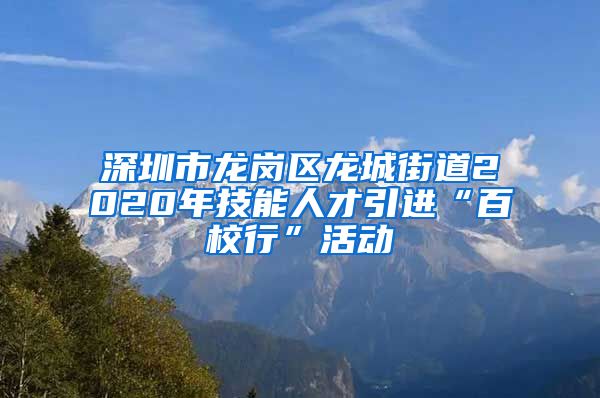 深圳市龙岗区龙城街道2020年技能人才引进“百校行”活动