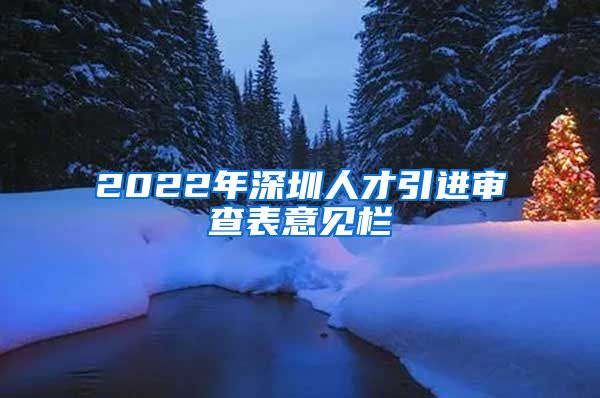 2022年深圳人才引进审查表意见栏