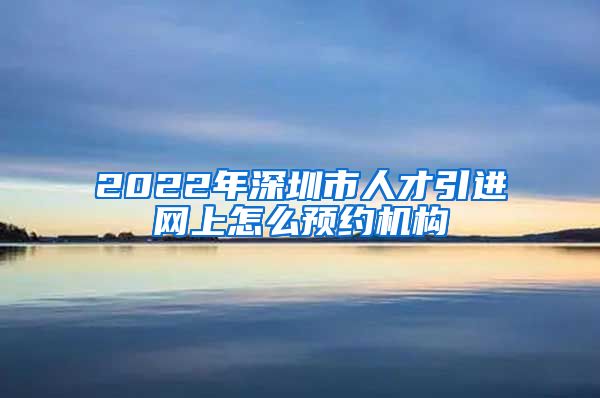 2022年深圳市人才引进网上怎么预约机构