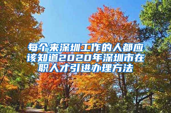 每个来深圳工作的人都应该知道2020年深圳市在职人才引进办理方法