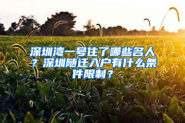 深圳湾一号住了哪些名人？深圳随迁入户有什么条件限制？