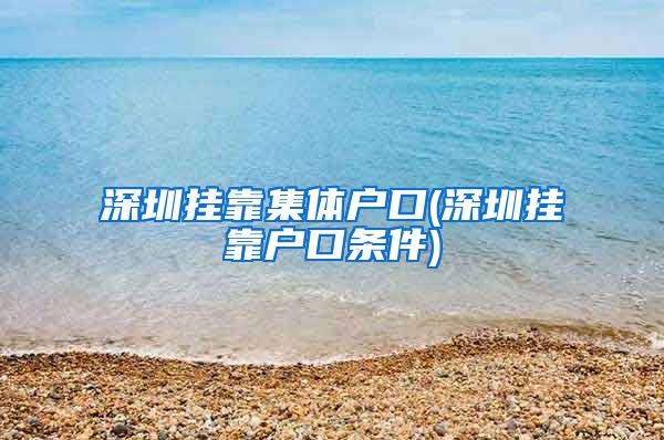 深圳挂靠集体户口(深圳挂靠户口条件)