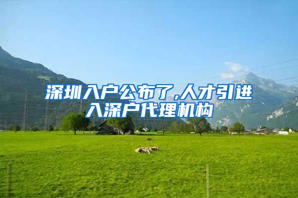 深圳入户公布了,人才引进入深户代理机构