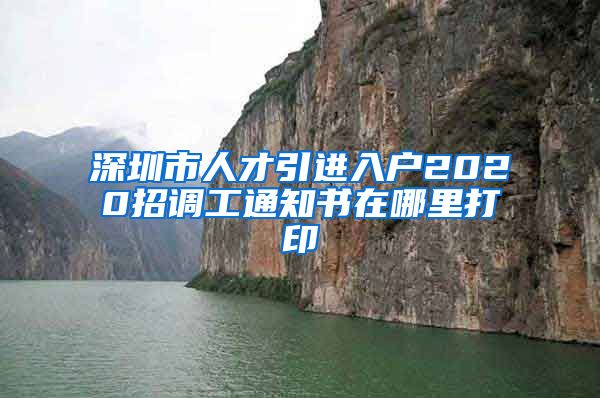 深圳市人才引进入户2020招调工通知书在哪里打印