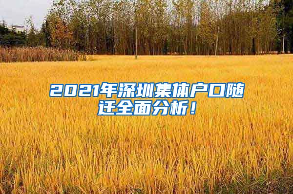 2021年深圳集体户口随迁全面分析！