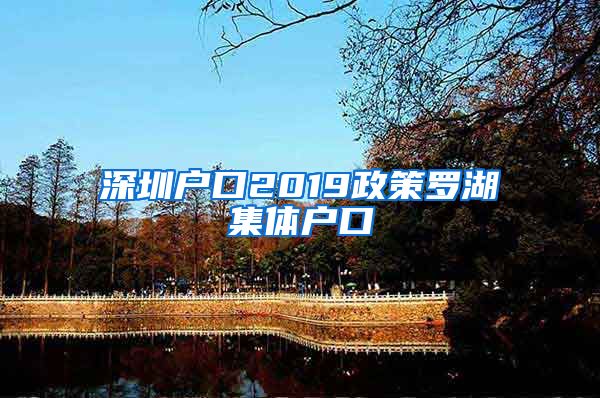 深圳户口2019政策罗湖集体户口