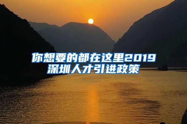 你想要的都在这里2019深圳人才引进政策