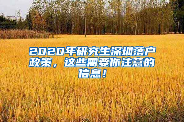 2020年研究生深圳落户政策，这些需要你注意的信息！