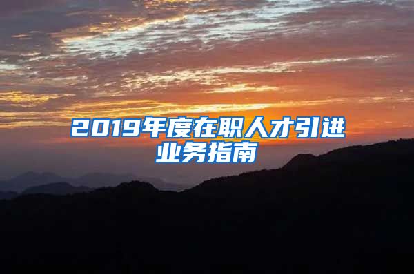 2019年度在职人才引进业务指南