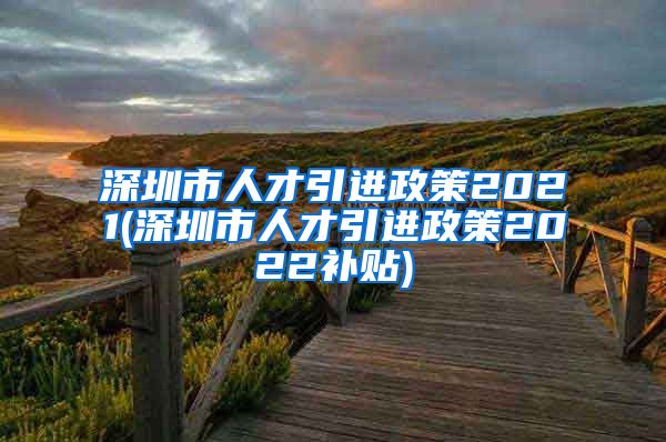 深圳市人才引进政策2021(深圳市人才引进政策2022补贴)