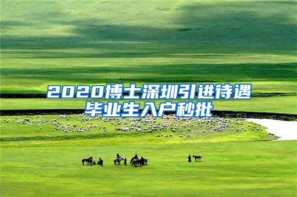 2020博士深圳引进待遇毕业生入户秒批