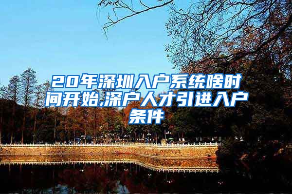 20年深圳入户系统啥时间开始,深户人才引进入户条件