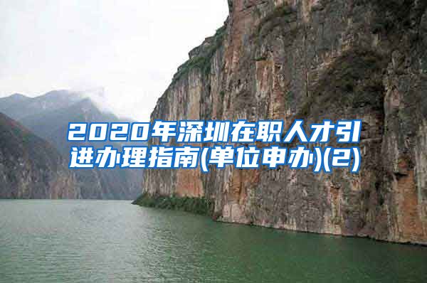 2020年深圳在职人才引进办理指南(单位申办)(2)