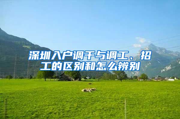 深圳入户调干与调工、招工的区别和怎么辨别