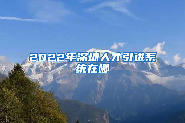 2022年深圳人才引进系统在哪