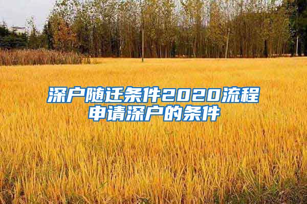 深户随迁条件2020流程申请深户的条件