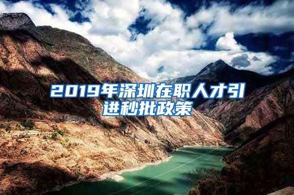 2019年深圳在职人才引进秒批政策