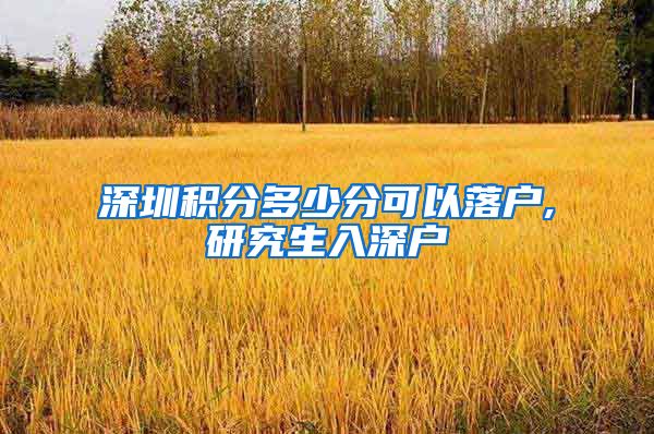 深圳积分多少分可以落户,研究生入深户