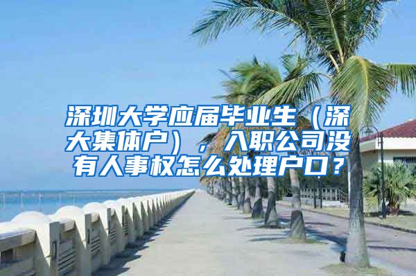 深圳大学应届毕业生（深大集体户），入职公司没有人事权怎么处理户口？