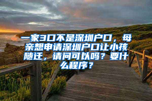 一家3口不是深圳户口，母亲想申请深圳户口让小孩随迁，请问可以吗？要什么程序？