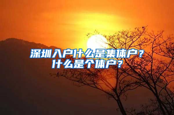 深圳入户什么是集体户？什么是个体户？