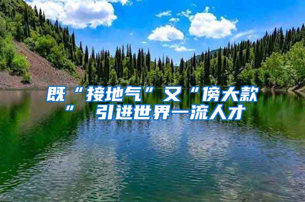 既“接地气”又“傍大款” 引进世界一流人才