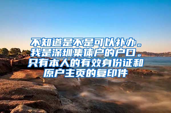 不知道是不是可以补办。我是深圳集体户的户口。只有本人的有效身份证和原户主页的复印件