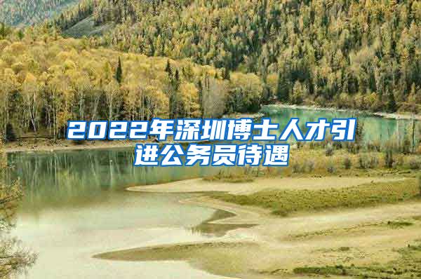 2022年深圳博士人才引进公务员待遇