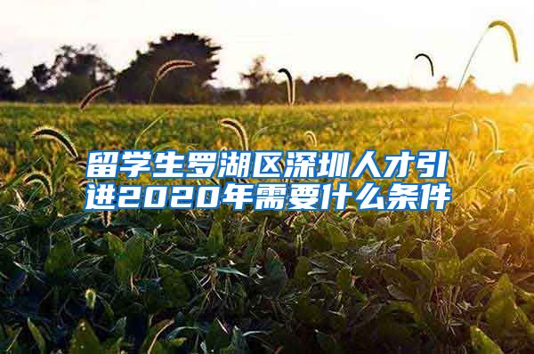 留学生罗湖区深圳人才引进2020年需要什么条件