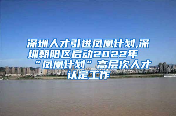 深圳人才引进凤凰计划,深圳朝阳区启动2022年“凤凰计划”高层次人才认定工作