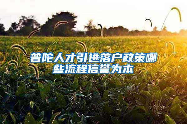 普陀人才引进落户政策哪些流程信誉为本