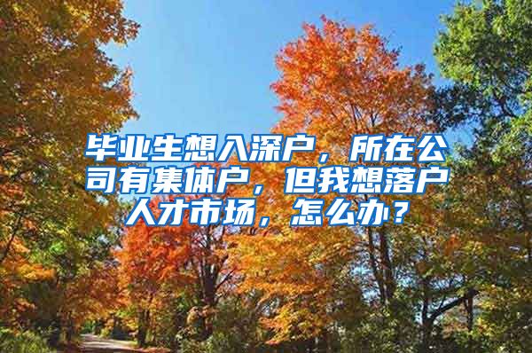 毕业生想入深户，所在公司有集体户，但我想落户人才市场，怎么办？