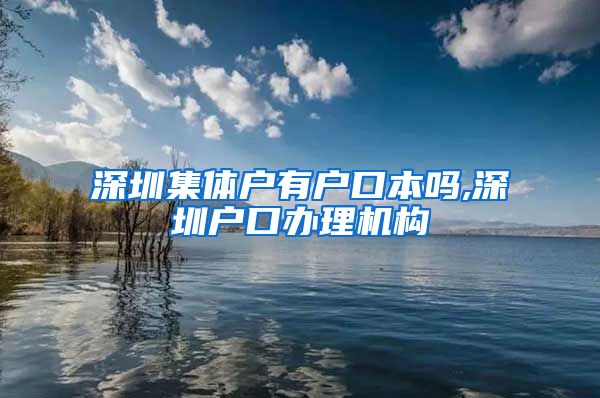 深圳集体户有户口本吗,深圳户口办理机构