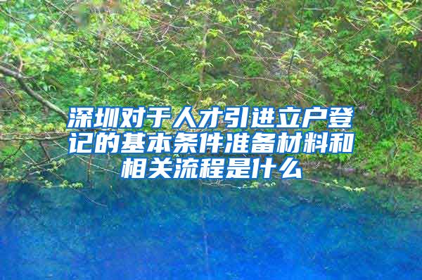 深圳对于人才引进立户登记的基本条件准备材料和相关流程是什么