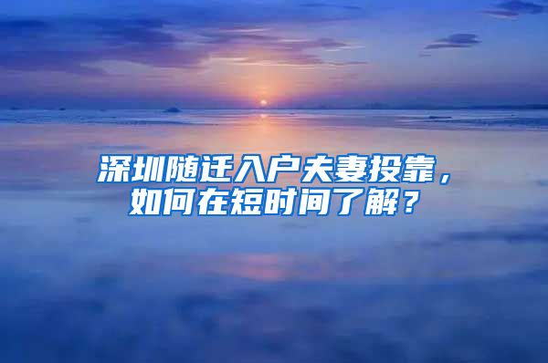 深圳随迁入户夫妻投靠，如何在短时间了解？