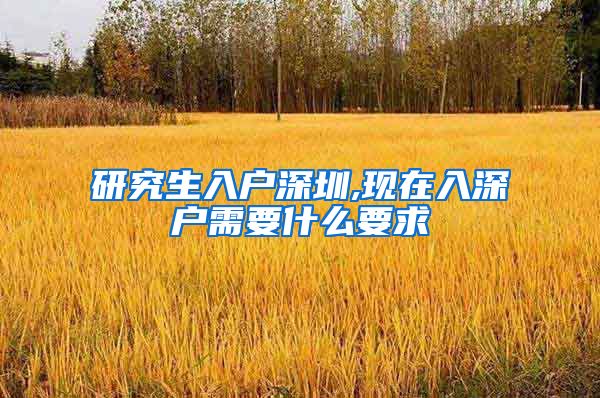 研究生入户深圳,现在入深户需要什么要求