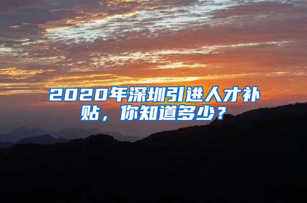 2020年深圳引进人才补贴，你知道多少？