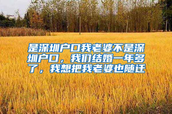 是深圳户口我老婆不是深圳户口，我们结婚一年多了，我想把我老婆也随迁