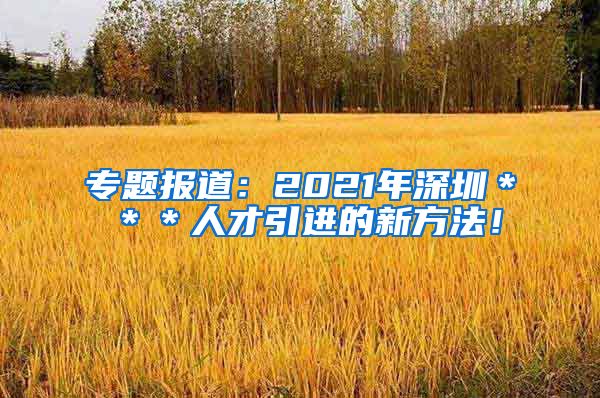 专题报道：2021年深圳＊＊＊人才引进的新方法！