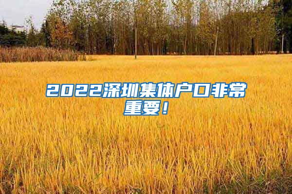 2022深圳集体户口非常重要！