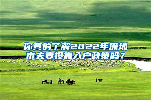 你真的了解2022年深圳市夫妻投靠入户政策吗？