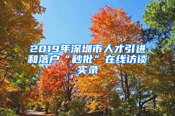 2019年深圳市人才引进和落户“秒批”在线访谈实录