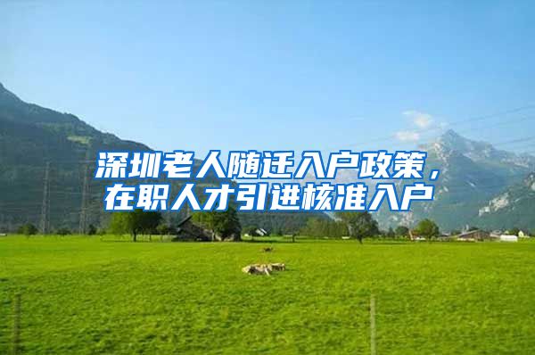 深圳老人随迁入户政策，在职人才引进核准入户