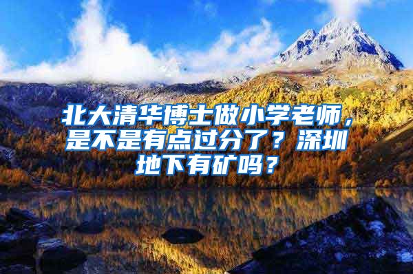 北大清华博士做小学老师，是不是有点过分了？深圳地下有矿吗？